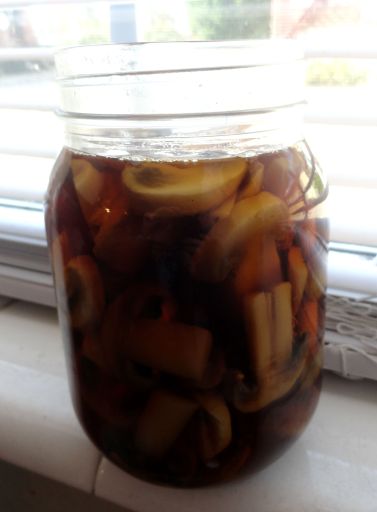 pickled shrooms